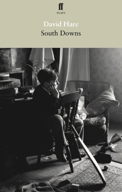 David Hare - South Downs and Mere Fact, Mere Fiction, E-bok