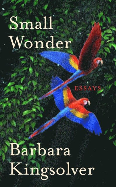 Barbara Kingsolver - Small Wonder, E-bok