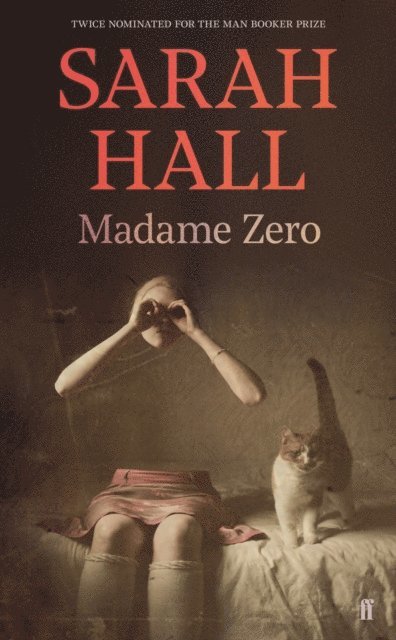 Sarah Hall - Madame Zero, E-bok