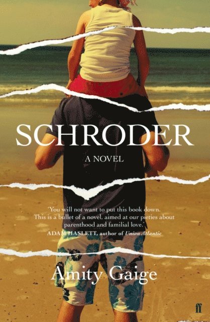Amity Gaige - Schroder, E-bok