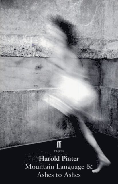 Harold Pinter - Mountain Language & Ashes to Ashes, E-bok