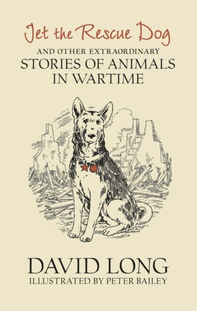 David Long - Jet the Rescue Dog, E-bok