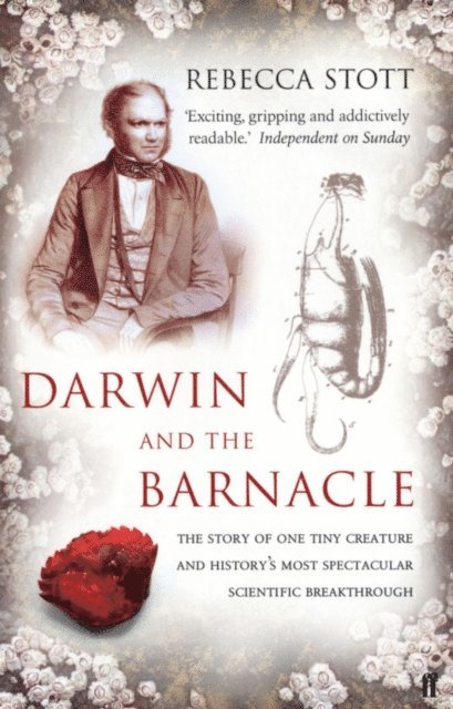 Rebecca Stott - Darwin and the Barnacle, E-bok