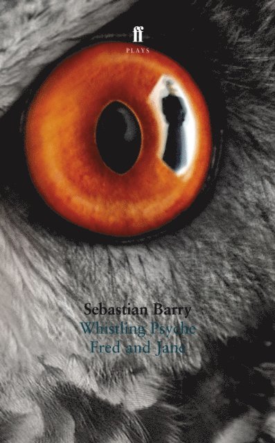 Sebastian Barry - Whistling Psyche & Fred and Jane, E-bok