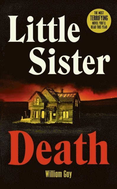 William Gay - Little Sister Death, E-bok