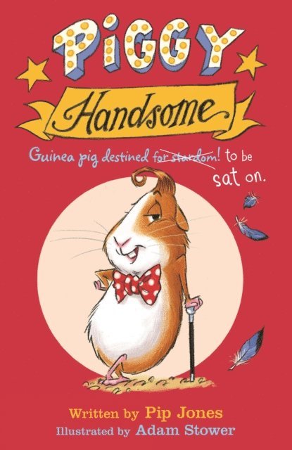 Pip Jones - Piggy Handsome, E-bok