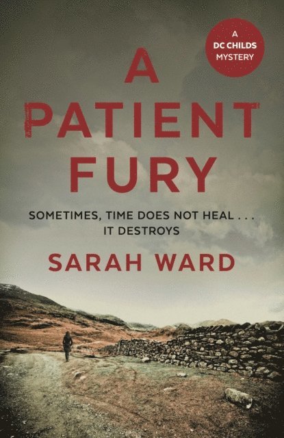 Sarah Ward - Patient Fury, E-bok
