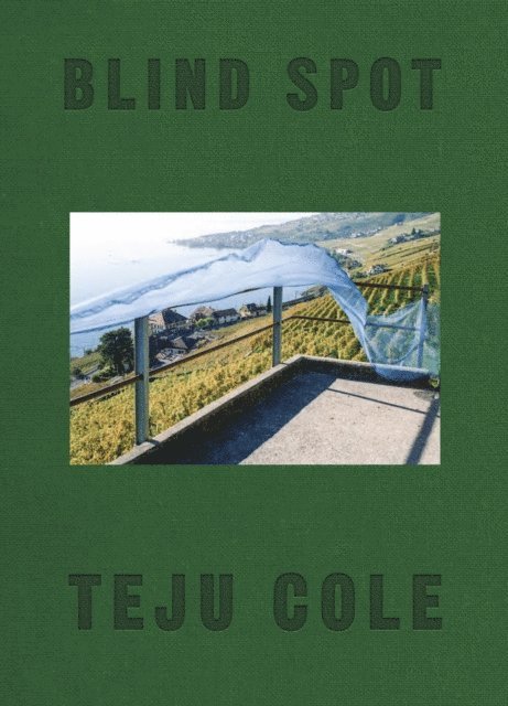 Teju Cole - Blind Spot, E-bok