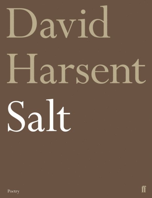 David Harsent - Salt, E-bok