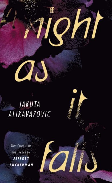 Jakuta Alikavazovic - Night as It Falls, E-bok