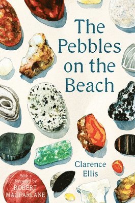 Clarence Ellis - Pebbles on the Beach, Häftad. Tillgänglighet: Lägg i varukorg