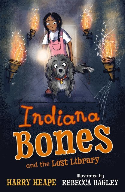 Harry Heape - Indiana Bones and the Lost Library, E-bok