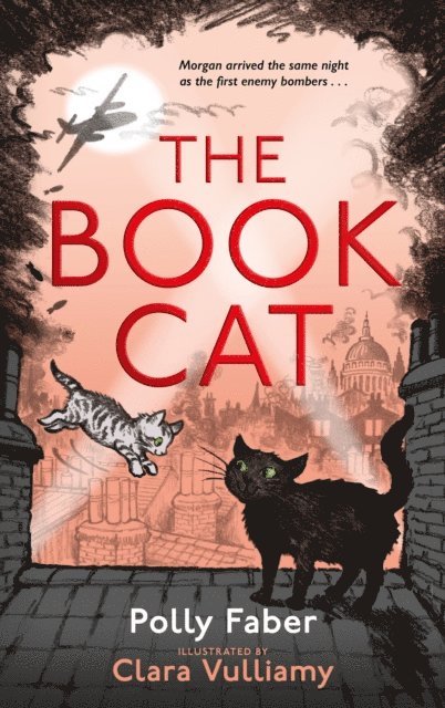 Polly Faber - Book Cat, E-bok