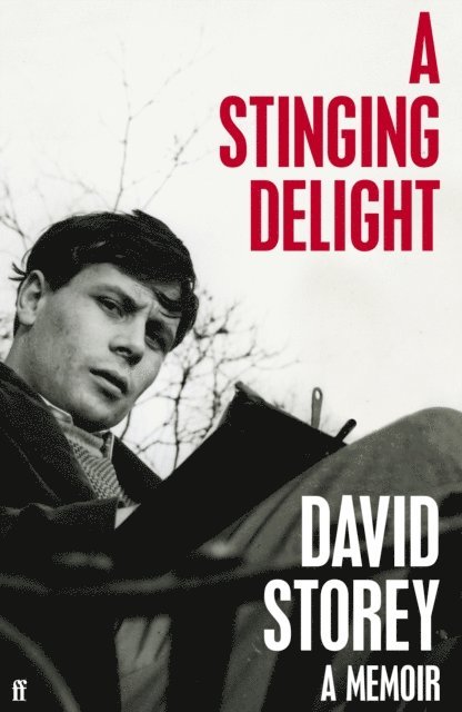 David Storey - Stinging Delight, E-bok
