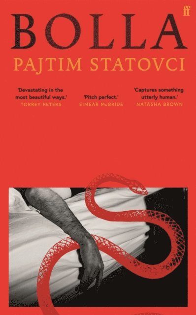 Pajtim Statovci - Bolla, E-bok