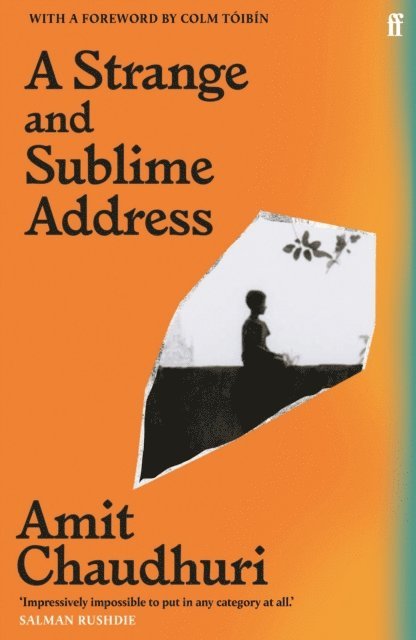 Amit Chaudhuri - Strange and Sublime Address, E-bok