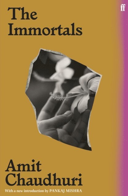 Amit Chaudhuri - Immortals, E-bok