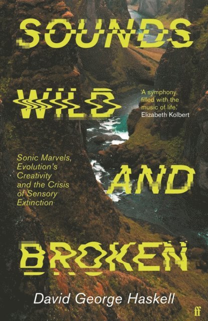 David George Haskell - Sounds Wild and Broken, E-bok