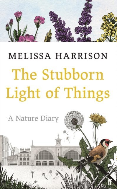 Melissa Harrison - Stubborn Light of Things, E-bok