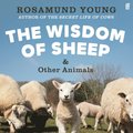 Wisdom of Sheep & Other Animals