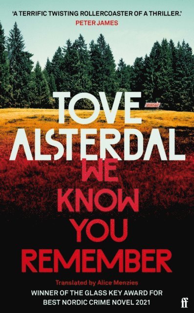 Tove Alsterdal - We Know You Remember, E-bok