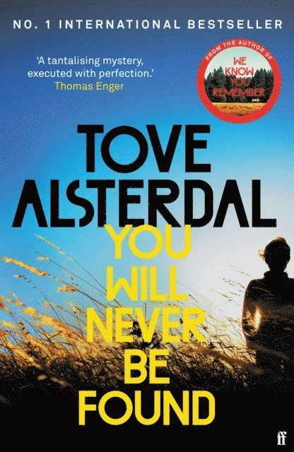 Tove Alsterdal - You Will Never Be Found, E-bok