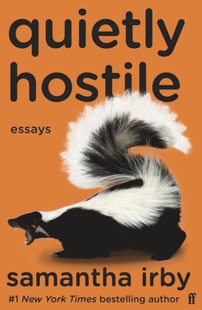 Samantha Irby - Quietly Hostile, E-bok