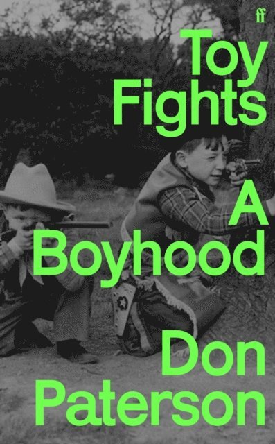 Don Paterson - Toy Fights, E-bok