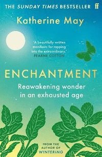 Enchantment