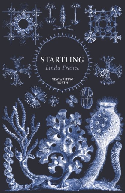 Linda France - Startling, E-bok