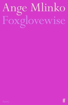 Ange Mlinko - Foxglovewise, Häftad