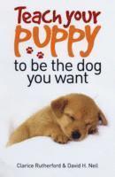 Clarice Rutherford, David H. Neil - Teach Your Puppy to be the Dog You Want, Häftad