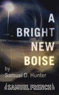 Bright New Boise