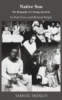 Richard Wright, Craig Carnelia, Paul Green - Native Son, Häftad