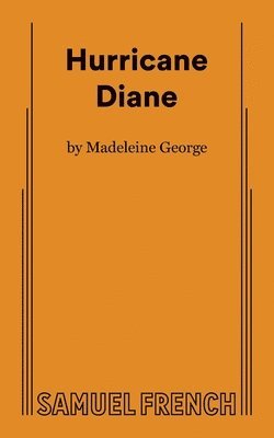 Madeleine George - Hurricane Diane, Häftad