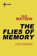 Flies of Memory