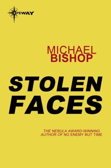 Michael Bishop - Stolen Faces, E-bok