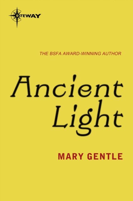 Mary Gentle - Ancient Light, E-bok