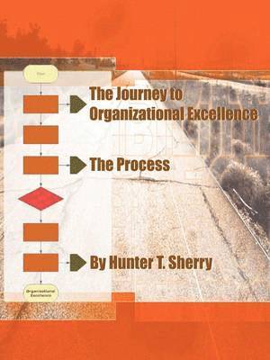 Hunter Sherry - Process, Häftad