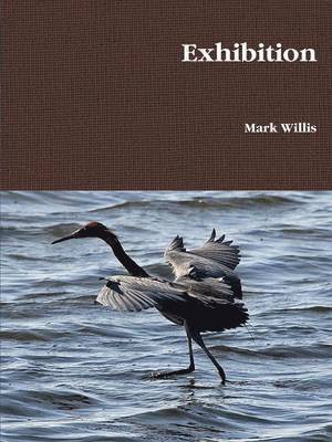Mark Willis - Exhibition, Häftad