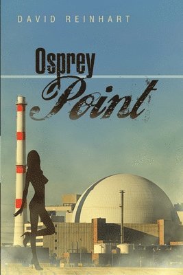 David Reinhart - Osprey Point, Häftad