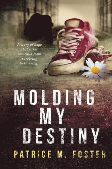 Patrice M Foster - Molding My Destiny, E-bok