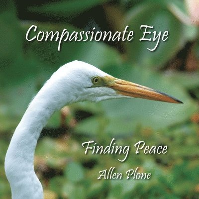 Allen Plone - Compassionate Eye, Häftad
