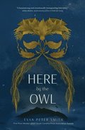 Here by the Owl