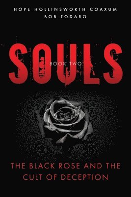 Bob Todaro, Hope Hollinsworth Coaxum - Souls, Häftad