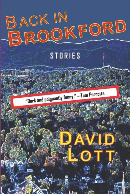 David Lott - Back in Brookford, E-bok
