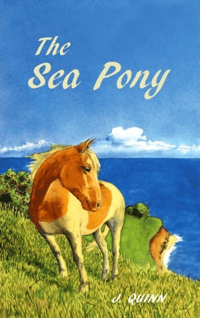 John Quinn - Sea Pony, E-bok