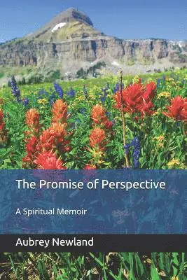 Aubrey Newland Phd - The Promise of Perspective: A Spiritual Memoir, Häftad. Tillgänglighet: Lägg i varukorg