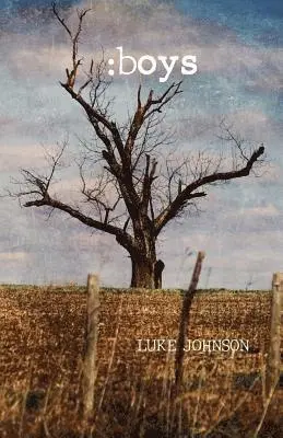 Luke J. Johnson - Boys, Häftad. Tillgänglighet: Lägg i varukorg