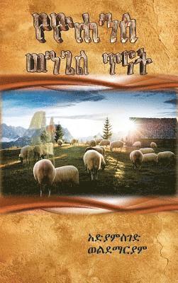 Adiamseged Wube Woldemariam - Book of John, Inbunden